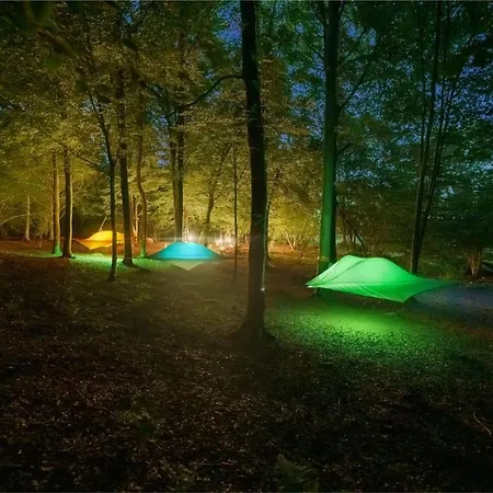 Future Is Nature Playground *