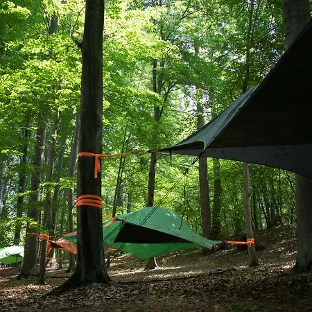 Future Is Nature Playground