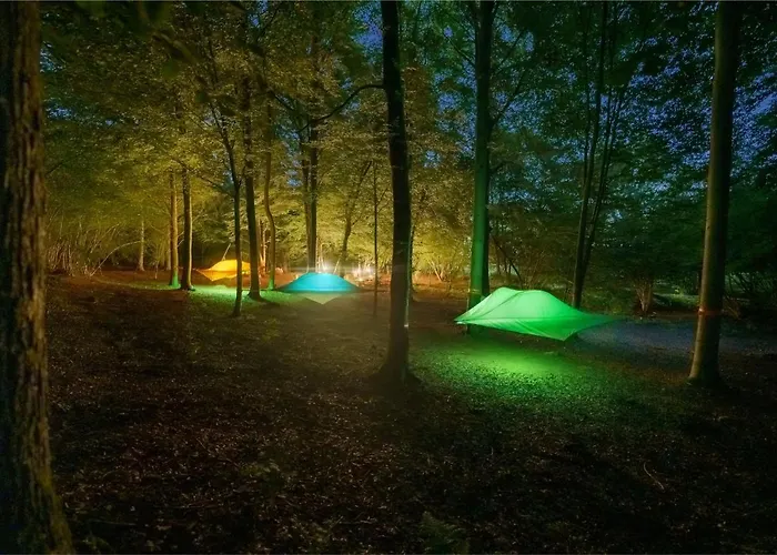 Future Is Nature Playground *