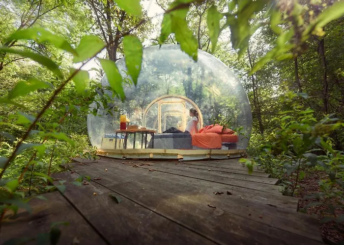 Kemp Future Is Nature Playground