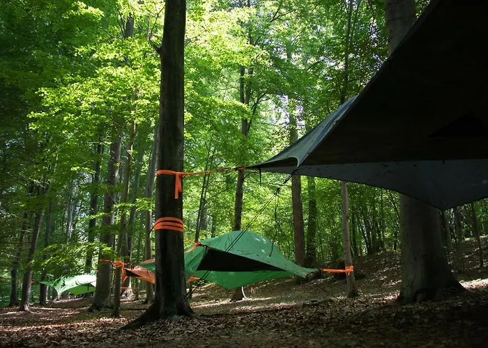 Future Is Nature Playground