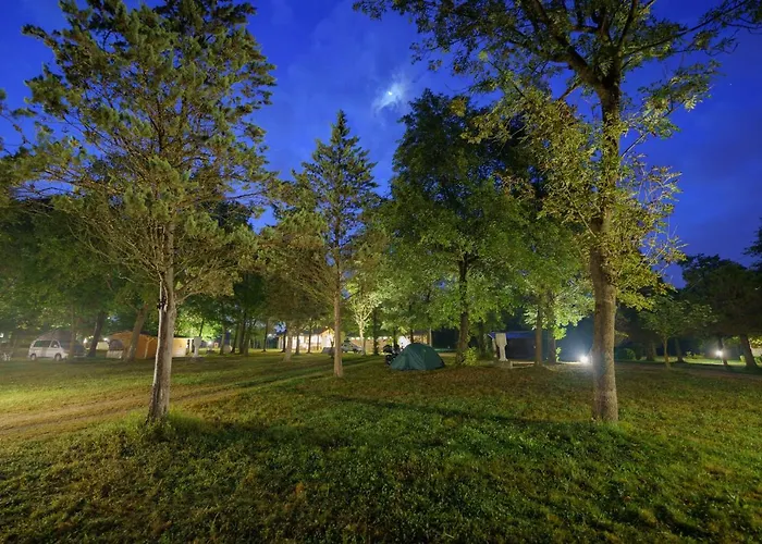 Future Is Nature Playground